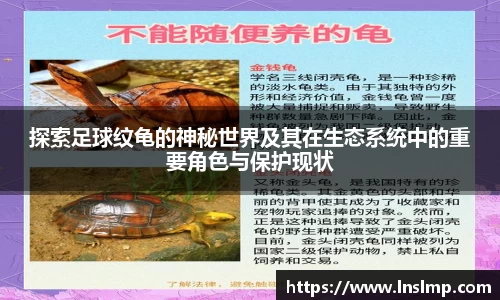 探索足球纹龟的神秘世界及其在生态系统中的重要角色与保护现状